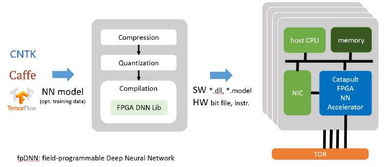 張霖濤 以計算機系統研究為基石，服務AI發展浪潮